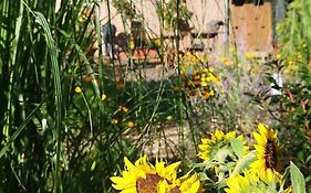 Bed And Breakfast Am Schwatten Berg